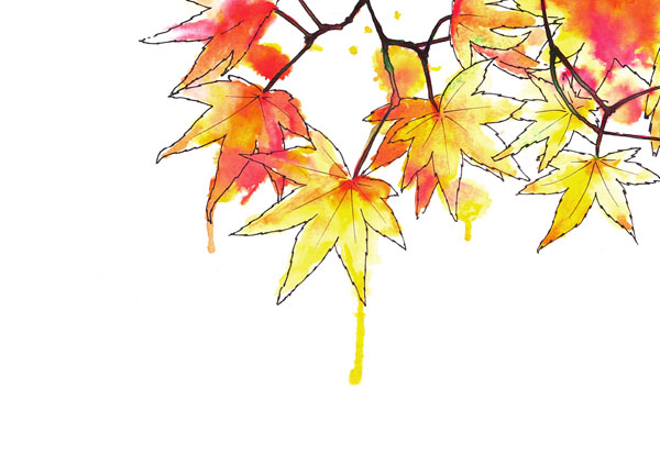 ilustración a tintas de hojas, galmir