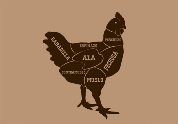 ilustración de despiece de pollo  por galmir